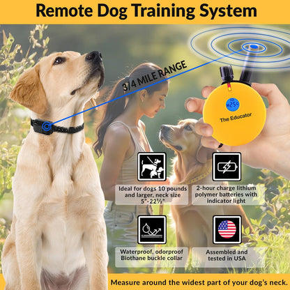 E-Collar Humane Dog Training Collar with Remote, 100 Safe Tapping Stimulation Levels, Night Light, Waterproof, Rechargeable, 3/4 Mile 2 Small-Medium Dogs, Yellow