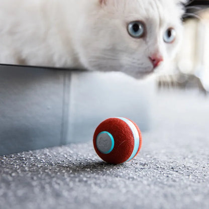 LMZOE Automatic Pet cat touch sensing rolling ball For cats chase play light Smart balls