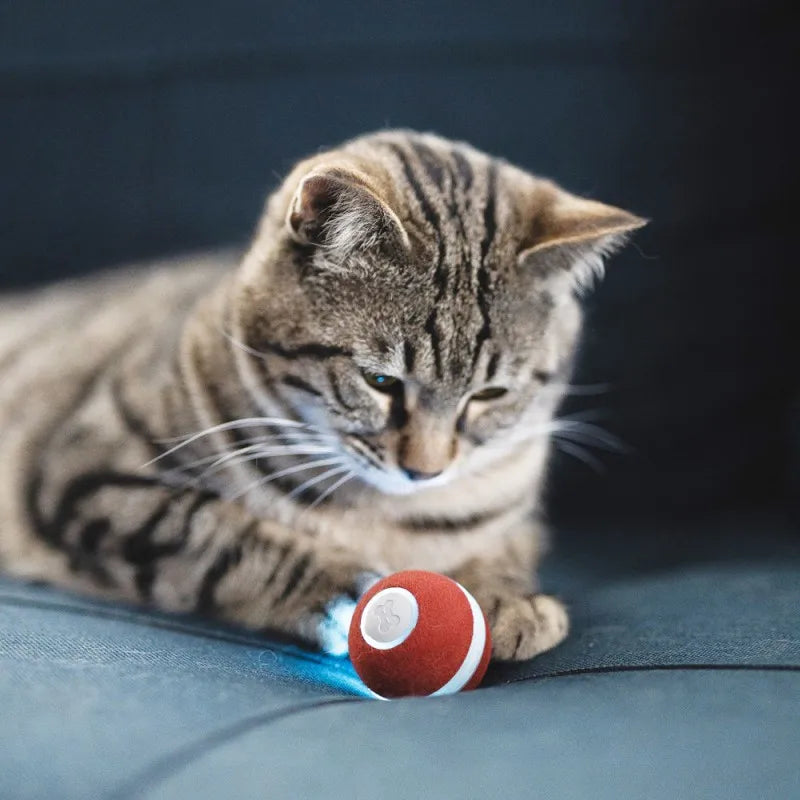 LMZOE Automatic Pet cat touch sensing rolling ball For cats chase play light Smart balls