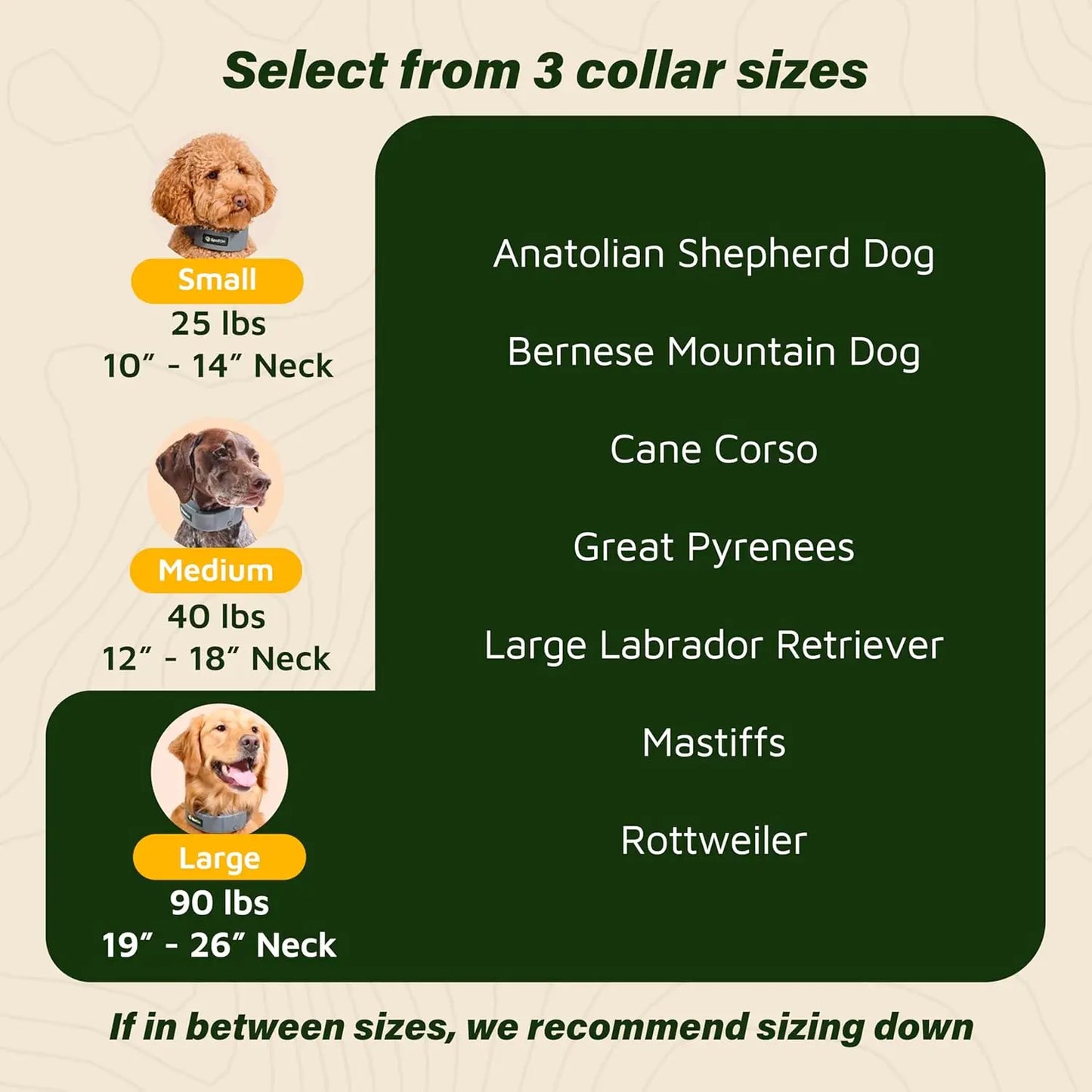 Longer Battery Life, GPS Dog Fence, App Based Wireless Dog Fence Collar, Waterproof, Accurate & Reliable GPS Dog Fence Sy