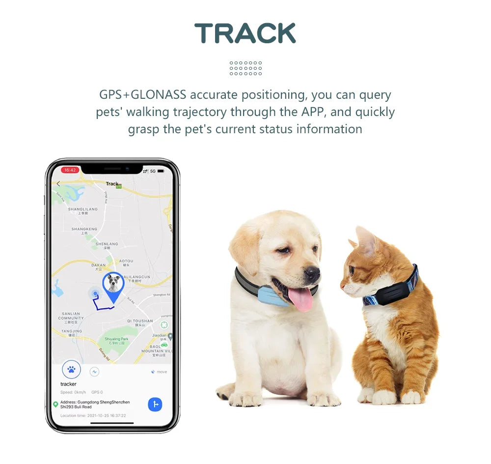 Waterproof Real-time Location Alarm Health Step Historical Tracking Device Geo Fence Dog Collar GPS 4G Pet Tracker