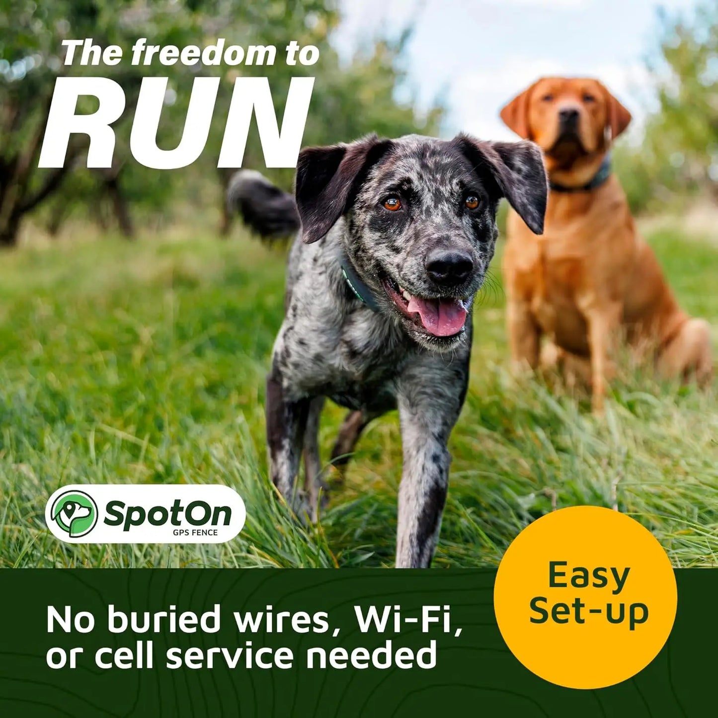 Longer Battery Life, GPS Dog Fence, App Based Wireless Dog Fence Collar, Waterproof, Accurate & Reliable GPS Dog Fence Sy