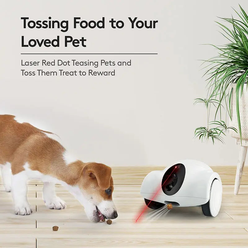 LMZOE Wifi Connection Pet Companion Laser Toy Food Treat Dispenser with Camera Cat Dog Toy Smart Companion Robot for Pets ﻿